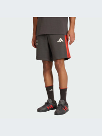 Шорты Adidas модель KE6786-KZ Фото