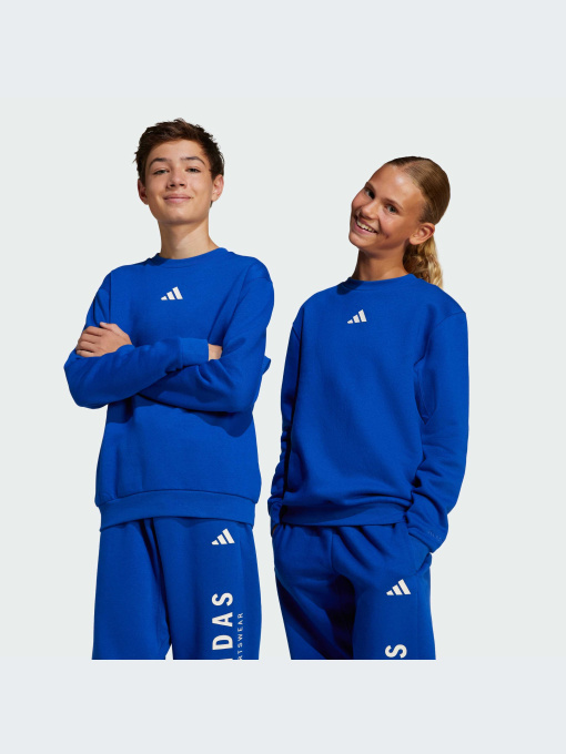 Худи и свитшоты Adidas модель JC7617-KZ Фото