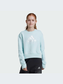 Худи и свитшоты Adidas модель IV9417-KZ Фото