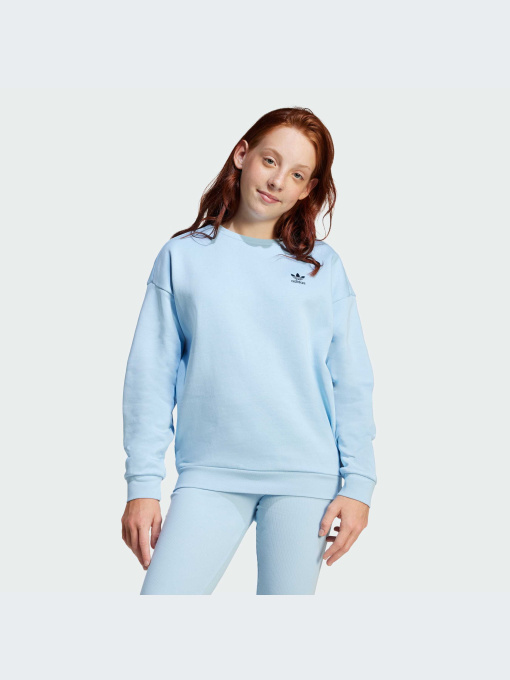 Худи и свитшоты Adidas модель JI5818-KZ Фото